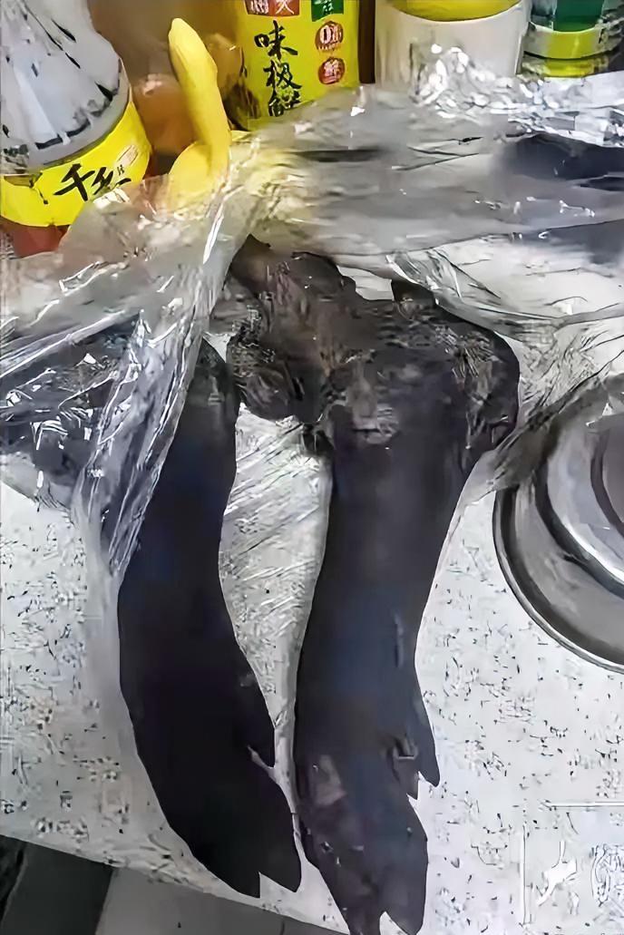 “太痛心了！”成都一位妈妈至今无法原谅自己，一块过年的腊猪蹄，竟让10岁儿子永远