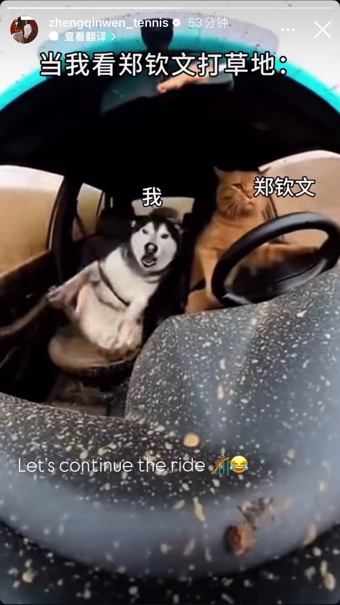 【郑钦文晒自己搞笑鬼畜视频】当我看郑钦文打草地6月26日，郑钦文在社交平台分享自