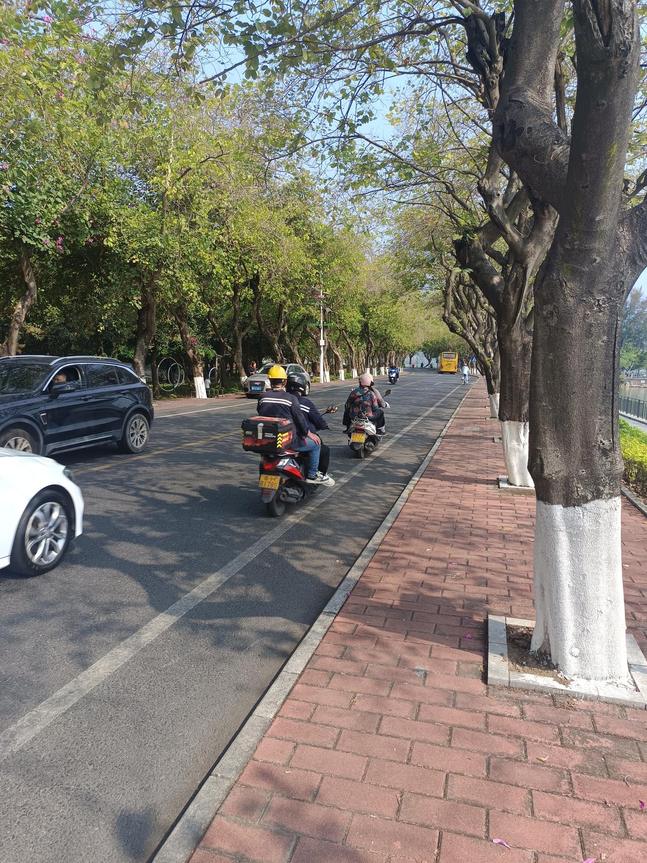 我终于知道了肇庆市虽然是个45线城市，但拥有两个5a级风景区却依然没有什么人