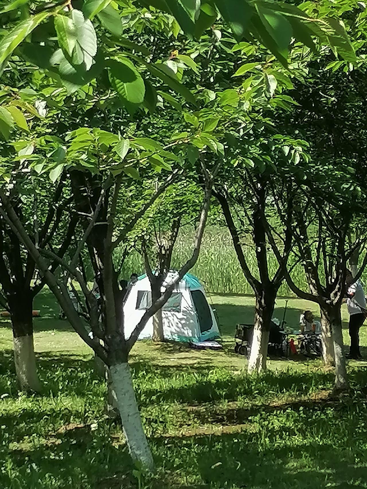 小区对面山上的公园来了一群年轻人，他们5月1号就来了，如今已经5月5号了，丝毫没