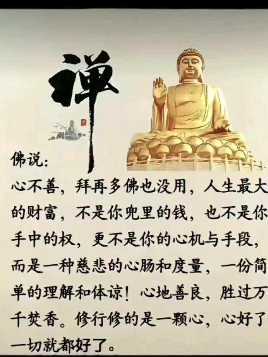 塞鸿秋·善的感悟心无善念佛难佑，人生至富非财胄。心机手段皆虚构，慈悲度量