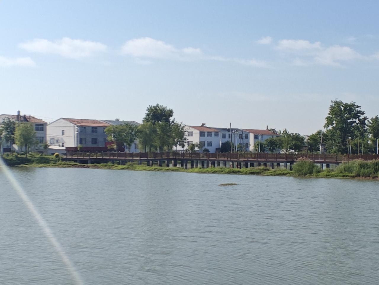 事业单位专技岗和管理岗核心差异点1. 天花板悬殊：管理岗受单位级别限制，基层多