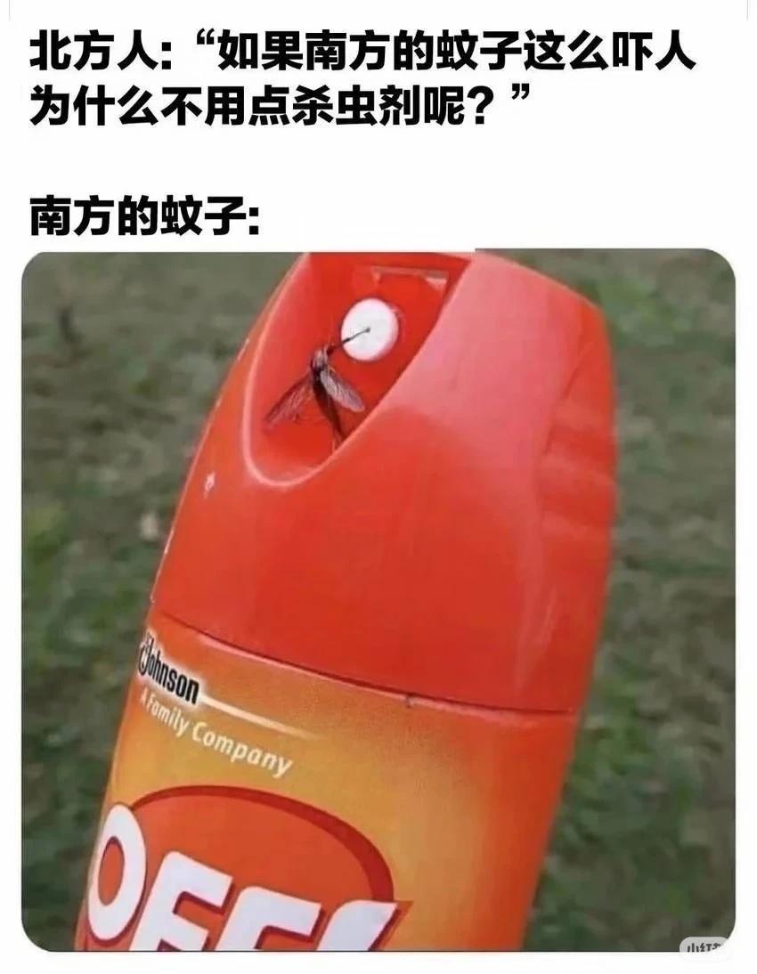 梗图请文明赏春年前摸鱼状态belike请文明观树决战足球梗之巅上班摸鱼