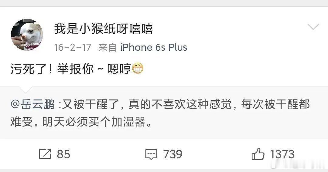所以杨紫为什么骂粉丝