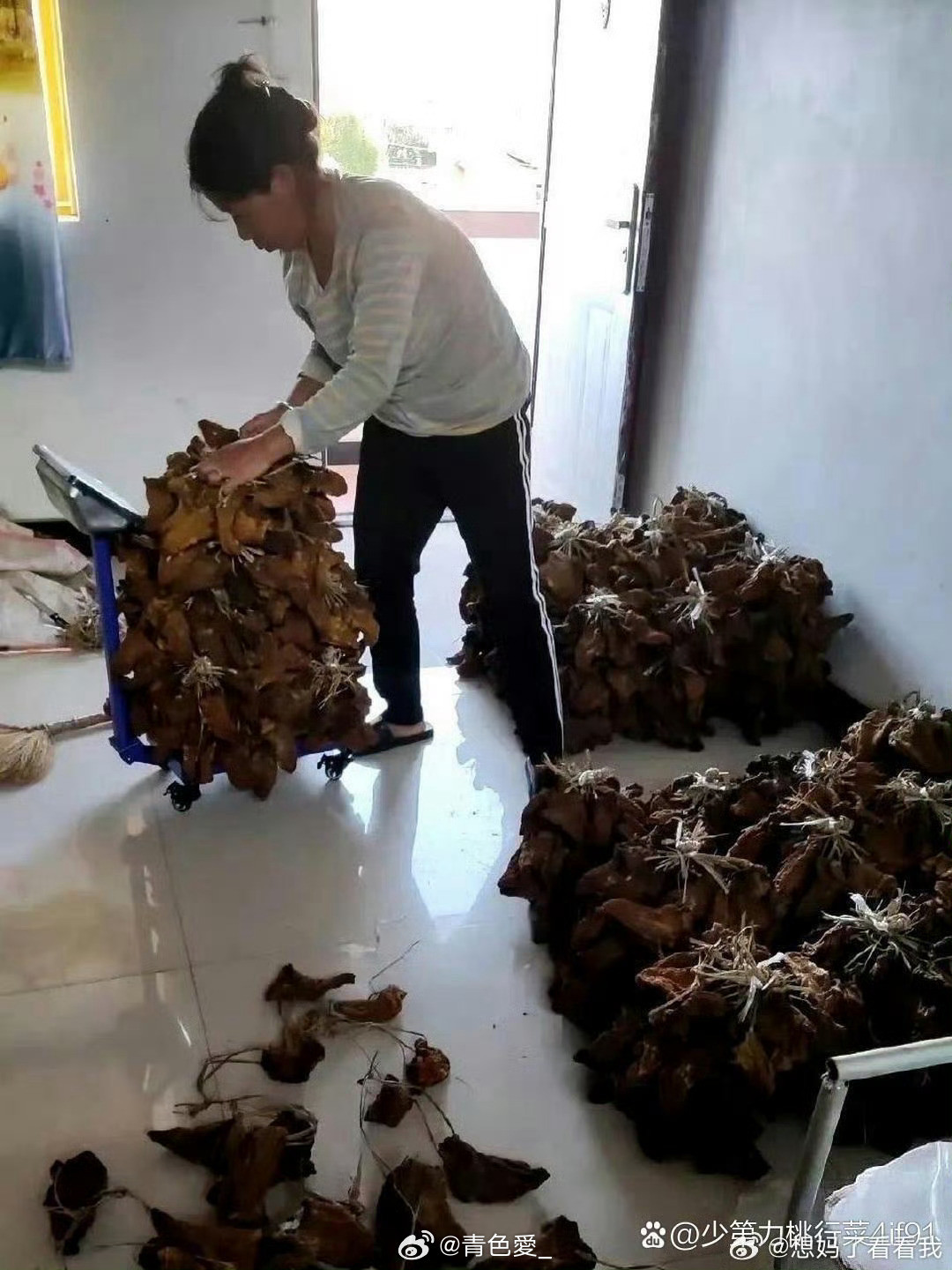 这才是真正的大户人家，太让人羡慕了​​​