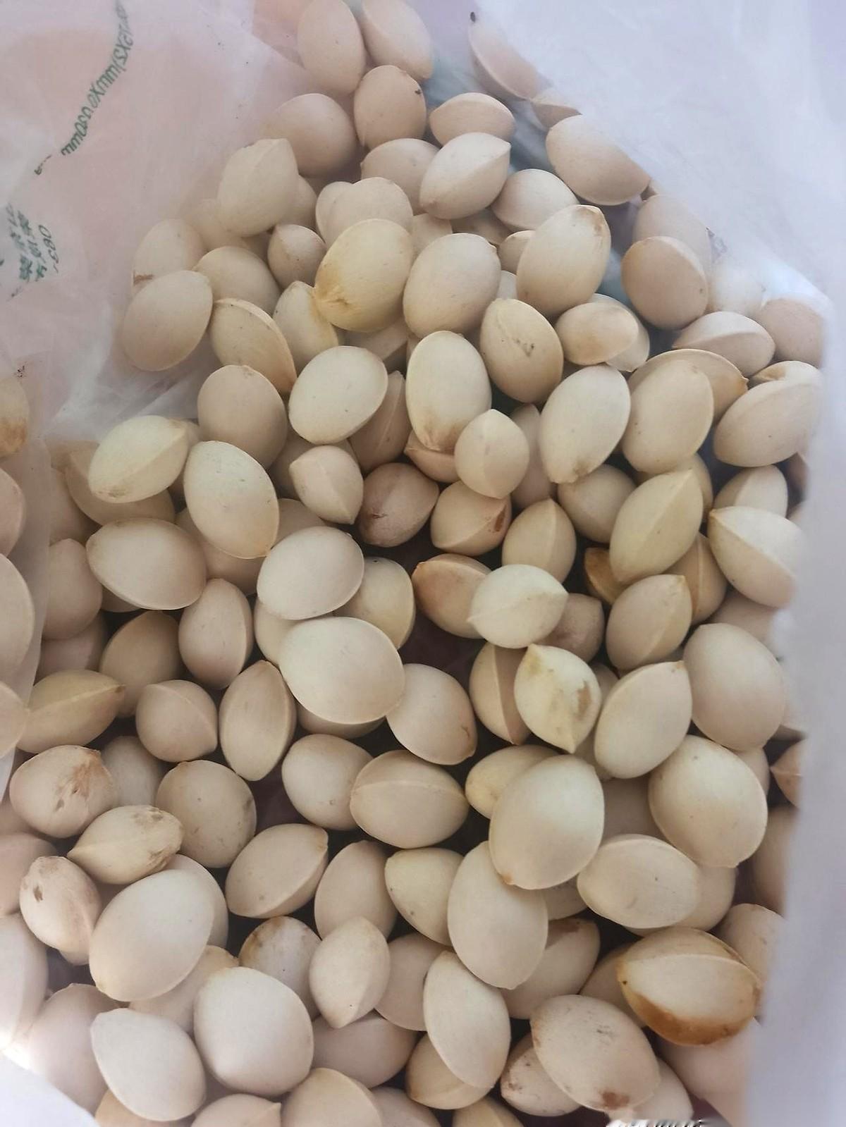 我给一个做房地产的大老板当保姆。他有个习惯,雷打不动。每天早上,都得在蒸锅里