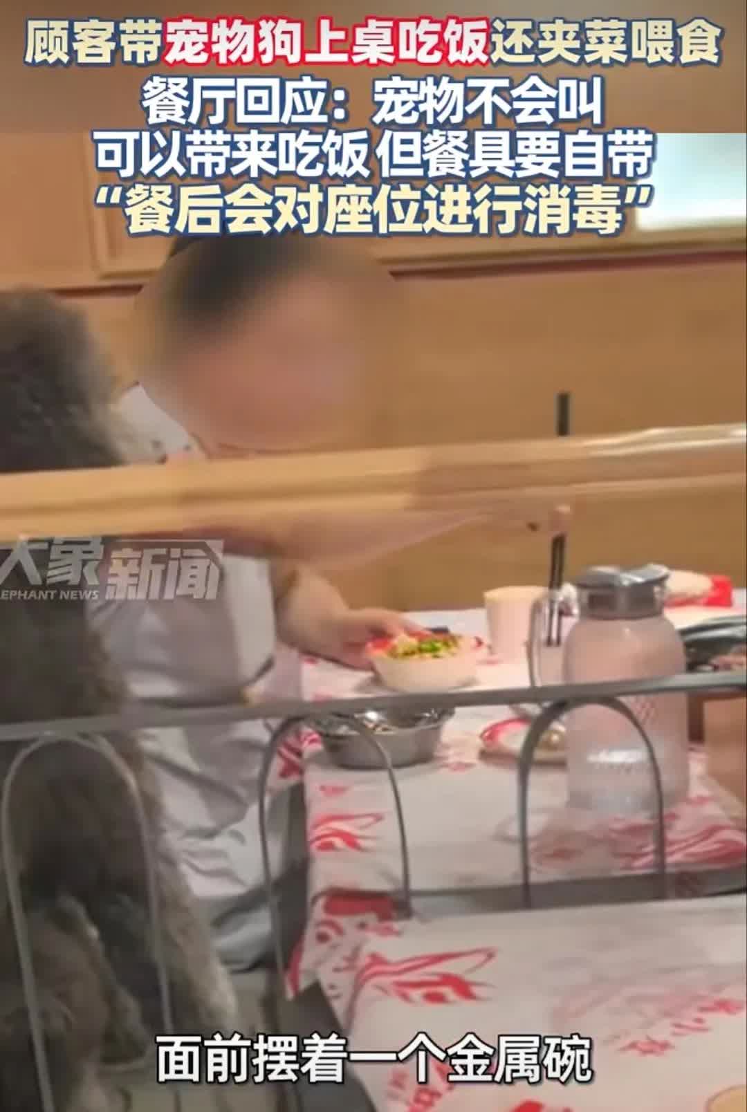 一女子带狗去餐厅吃饭，一些网友表示不敢去那家饭店吃饭。有什么不敢去吃饭的？每天呼