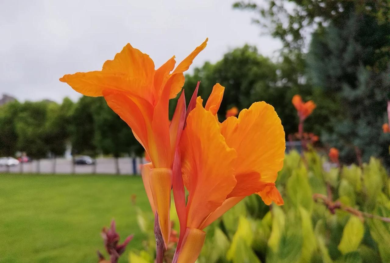 发现人一生中只要找对伴侣，养的孩子孝顺，可以减少很多人间疾苦，身体的疾病不可怕，