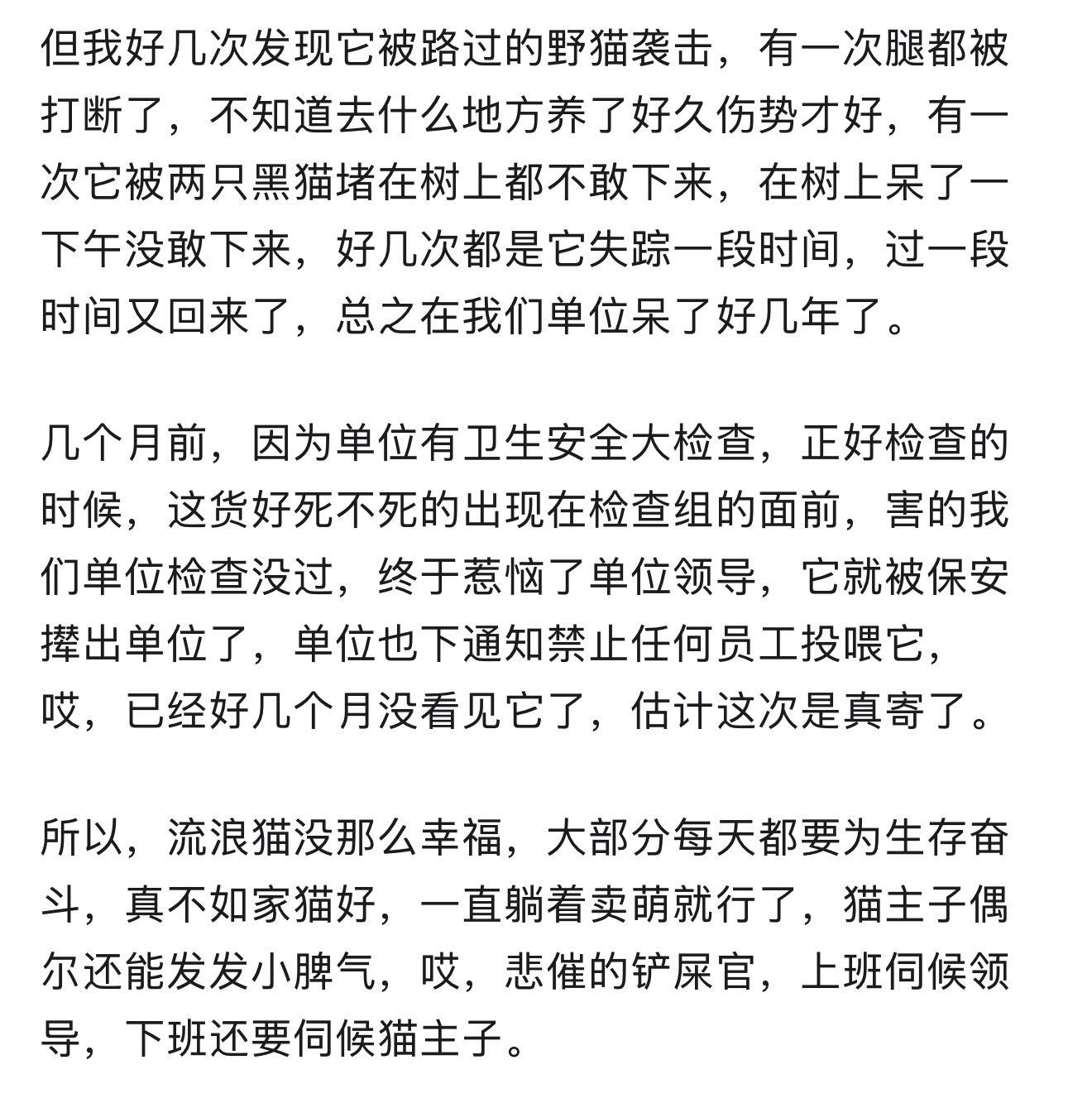 猫咪要是一辈子只呆在家里会不会很可怜​​​