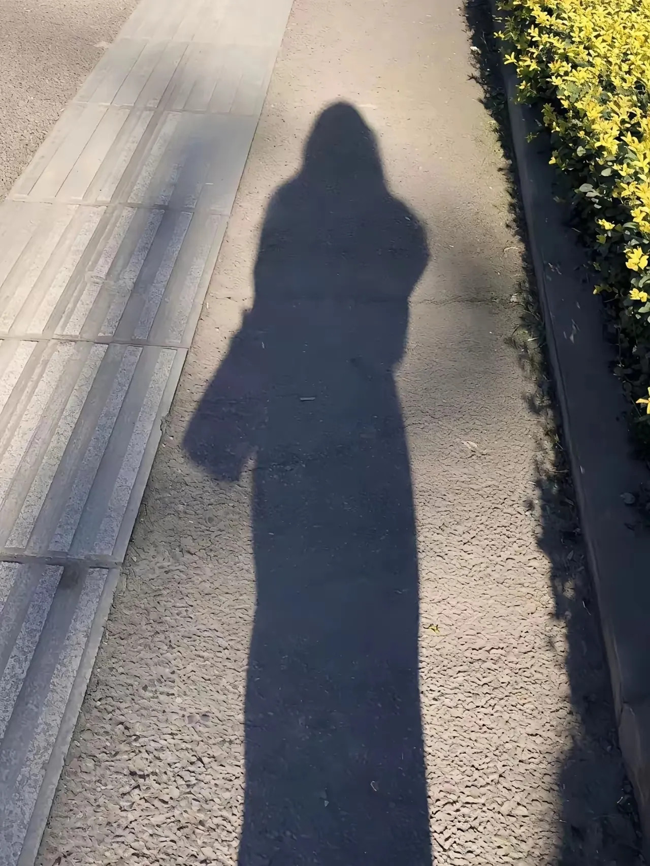 都市与乡村，单身青年“社交与恋爱冷淡”背后的真相当今社会，越来越多的年轻人