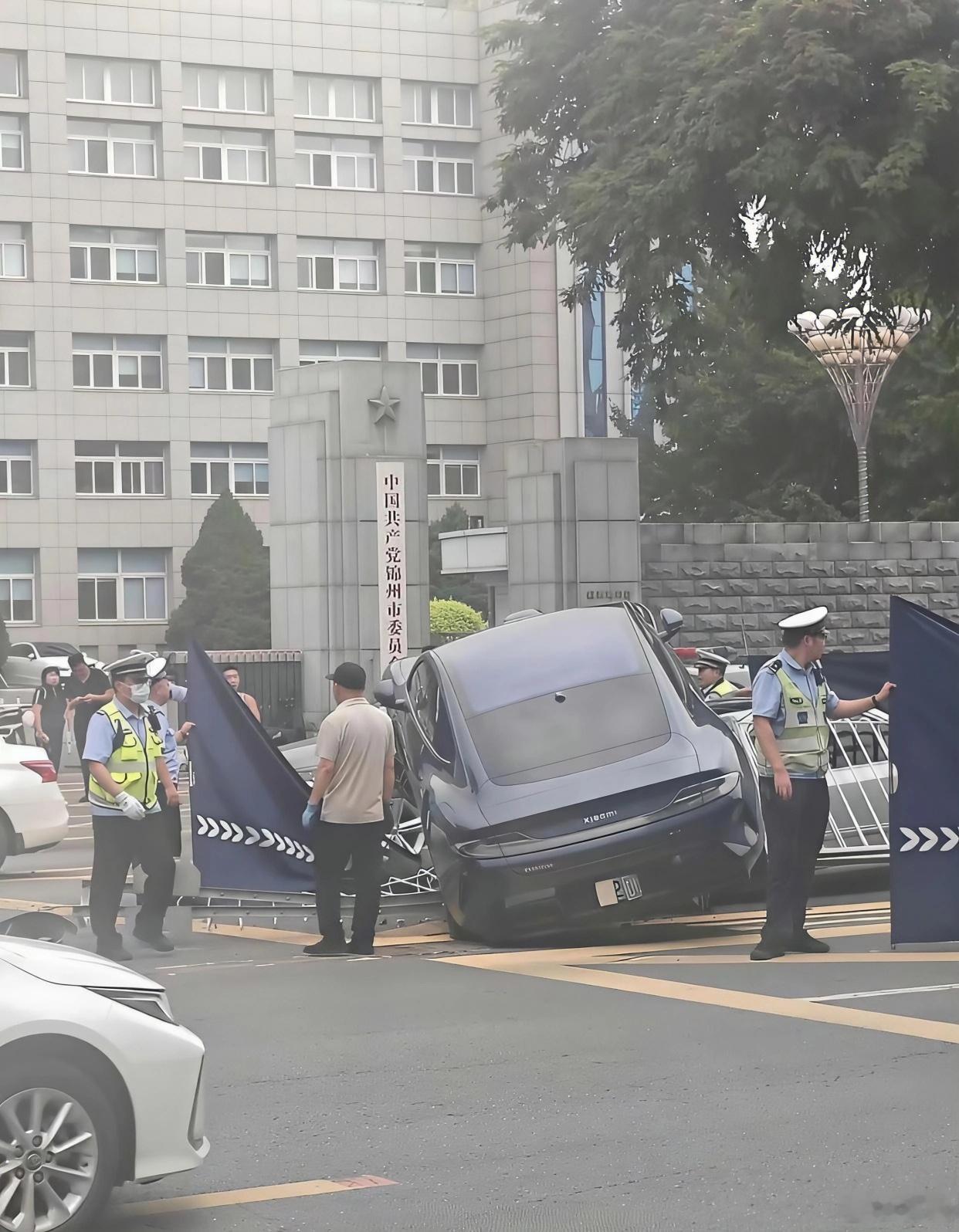 离谱给离谱他妈开门：离了个大谱到家了！​​​