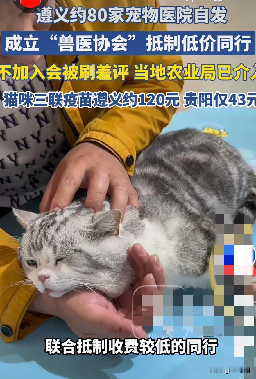 养宠的都知道“毛孩子看病贵”，但贵州遵义这80家宠物医院的操作，还是让人看傻了眼