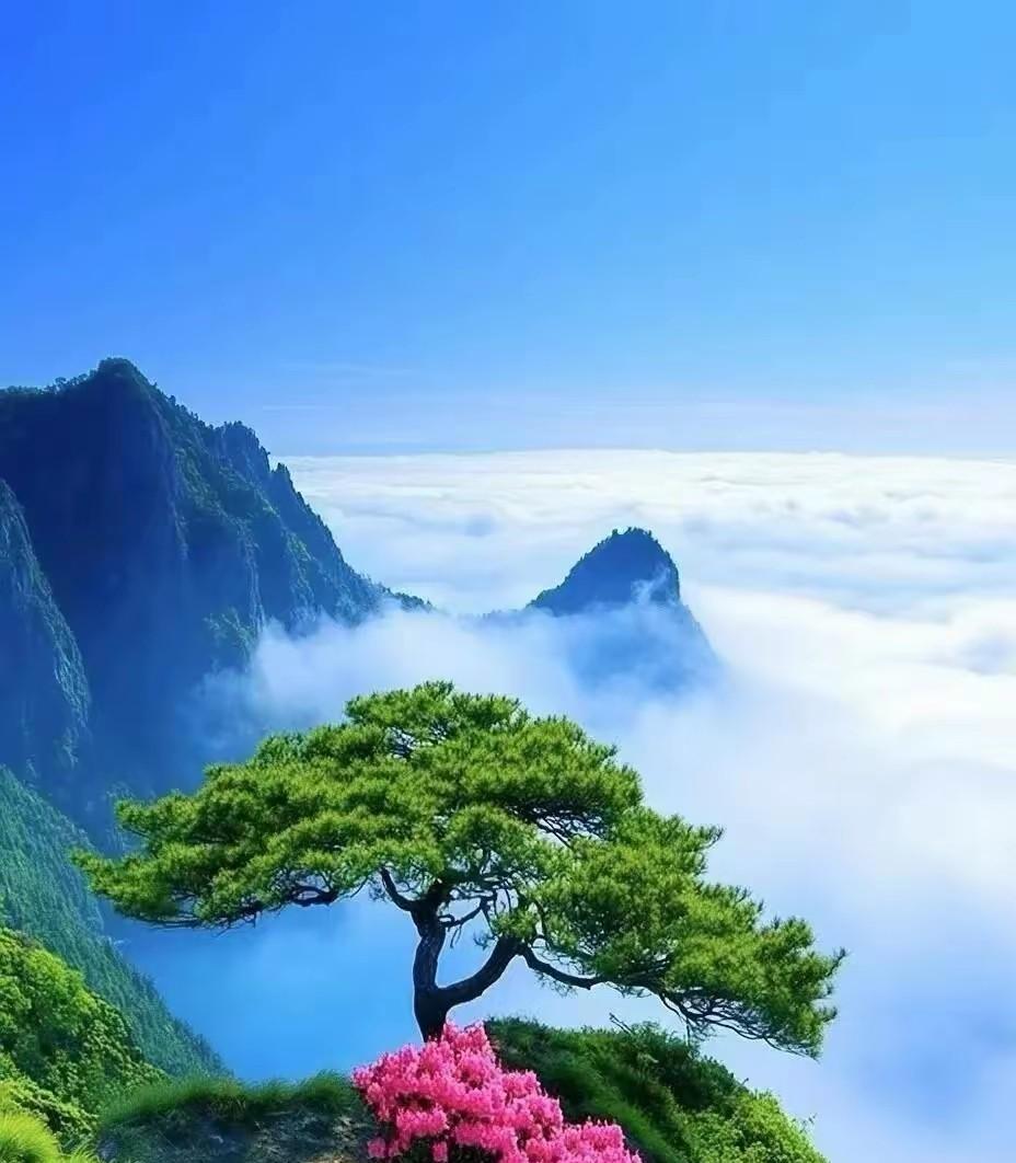 婆媳相处的最好方式？婆媳相处的最好方式需双方共同努力，以尊重、沟通、边界感为基