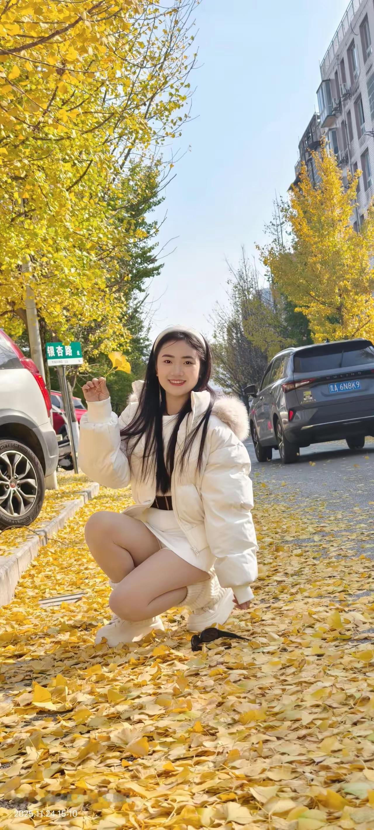 秋日暖阳下的银杏树，落叶纷飞，少女轻蹲其中，尽显温柔与浪漫。