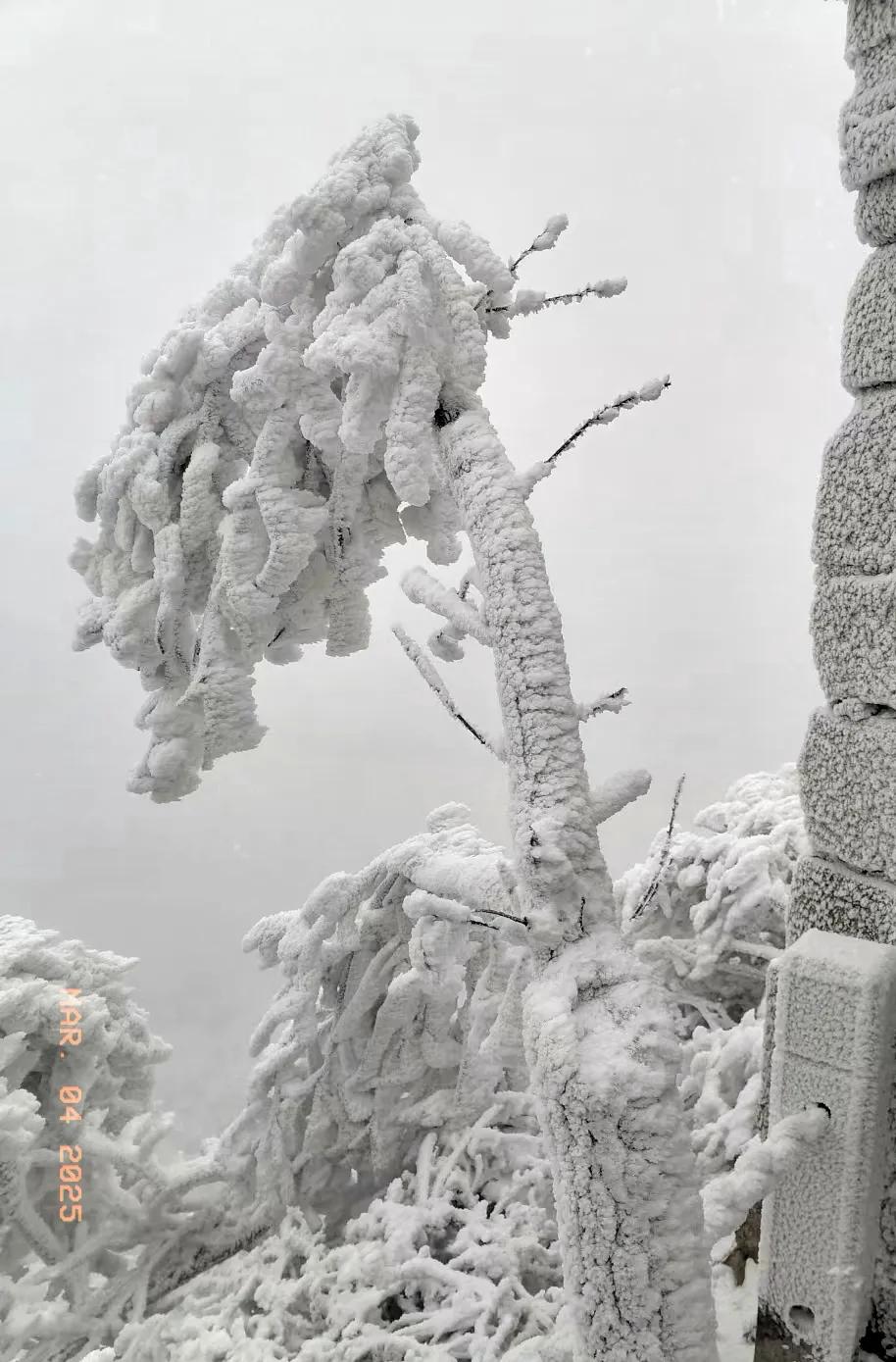 三月三日的春雪让湖北广水三潭风景区大贵寺金顶别有一番风味。广水的雪景本就一绝，大