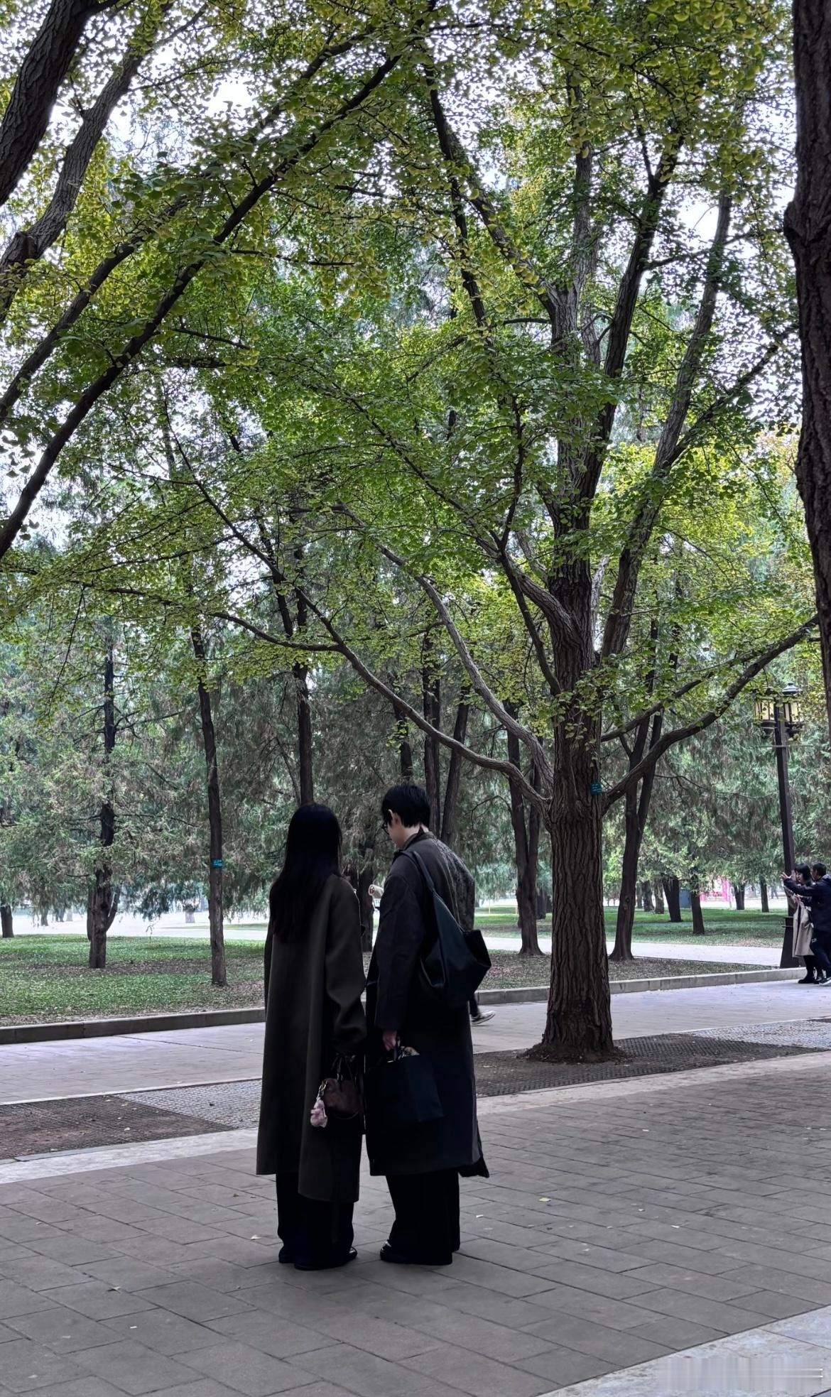 拍到一对好像电视剧出来的情侣