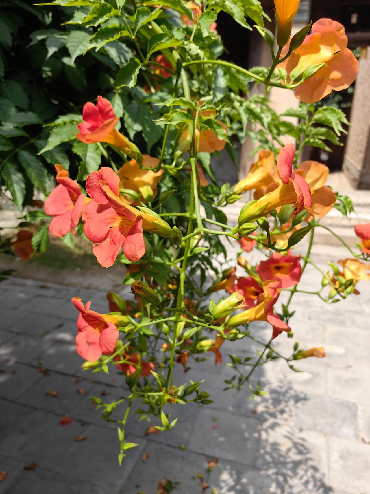 我在甘肃银行有一笔存款马上就要到期了，拿不定主意存哪家银行好。存三年期的话，