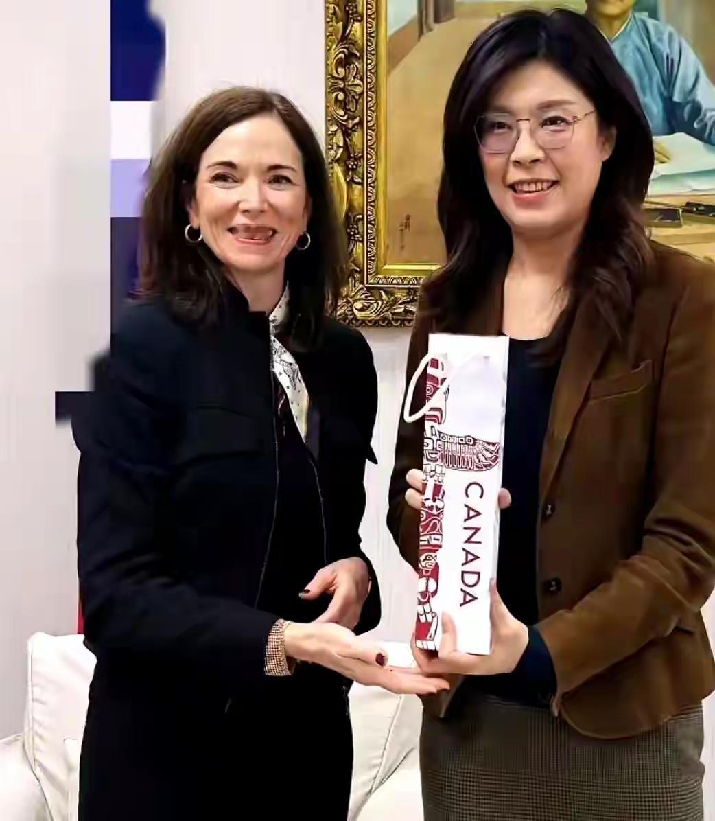 台海局势生变！解放军战机昼夜巡航施压，郑丽文急喊访陆却卡这条件刚过圣诞，台