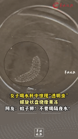 “太吓人了！”云南大理，一女子起床前喝了半杯隔夜水后，竟然惊奇地发现杯子里面有一