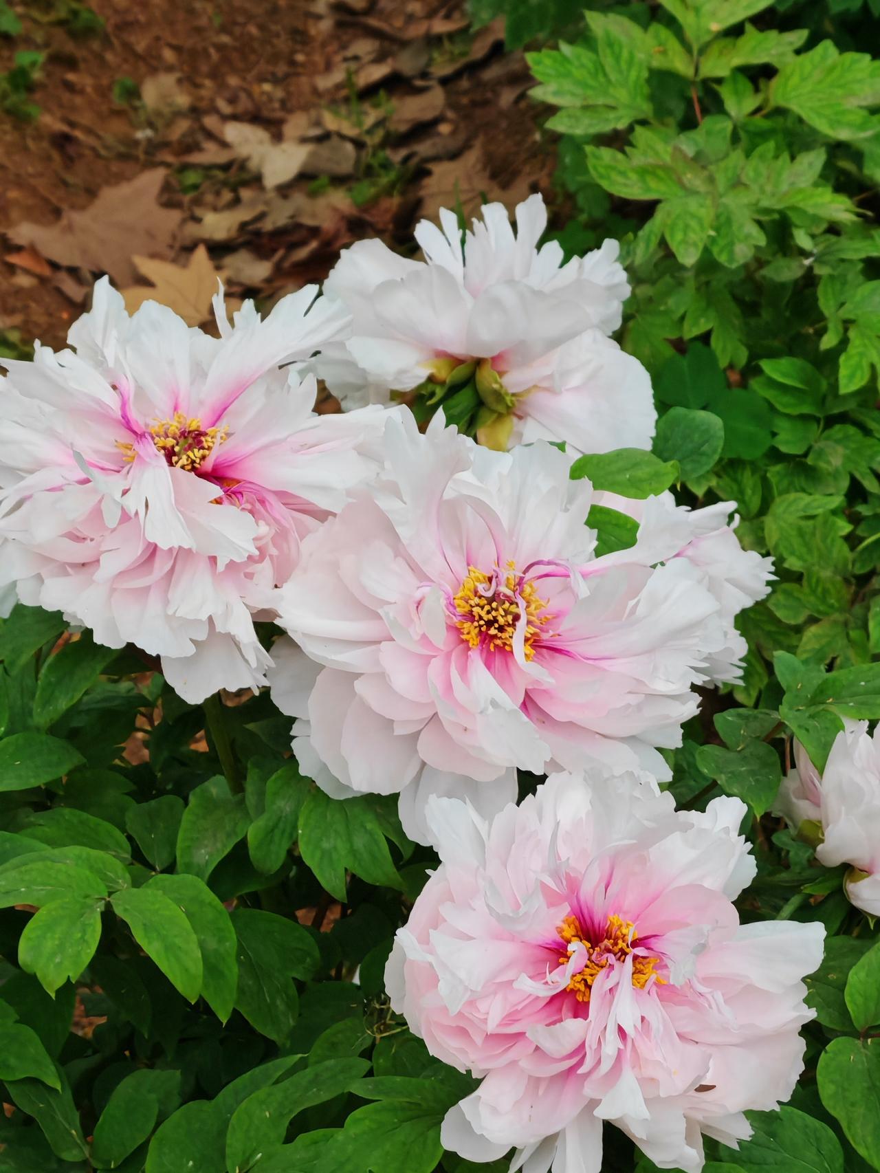 错过任何人都是上天在帮你，人最掉价的行为，就是看清了还舍不得；2.女人一般都