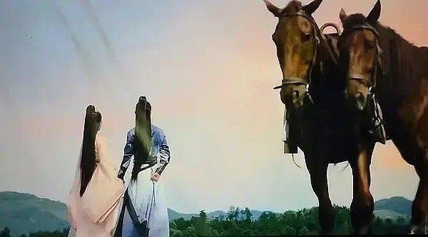 山河枕这个镜头怎么回事，哈哈哈哈哈这两匹马太招笑了～