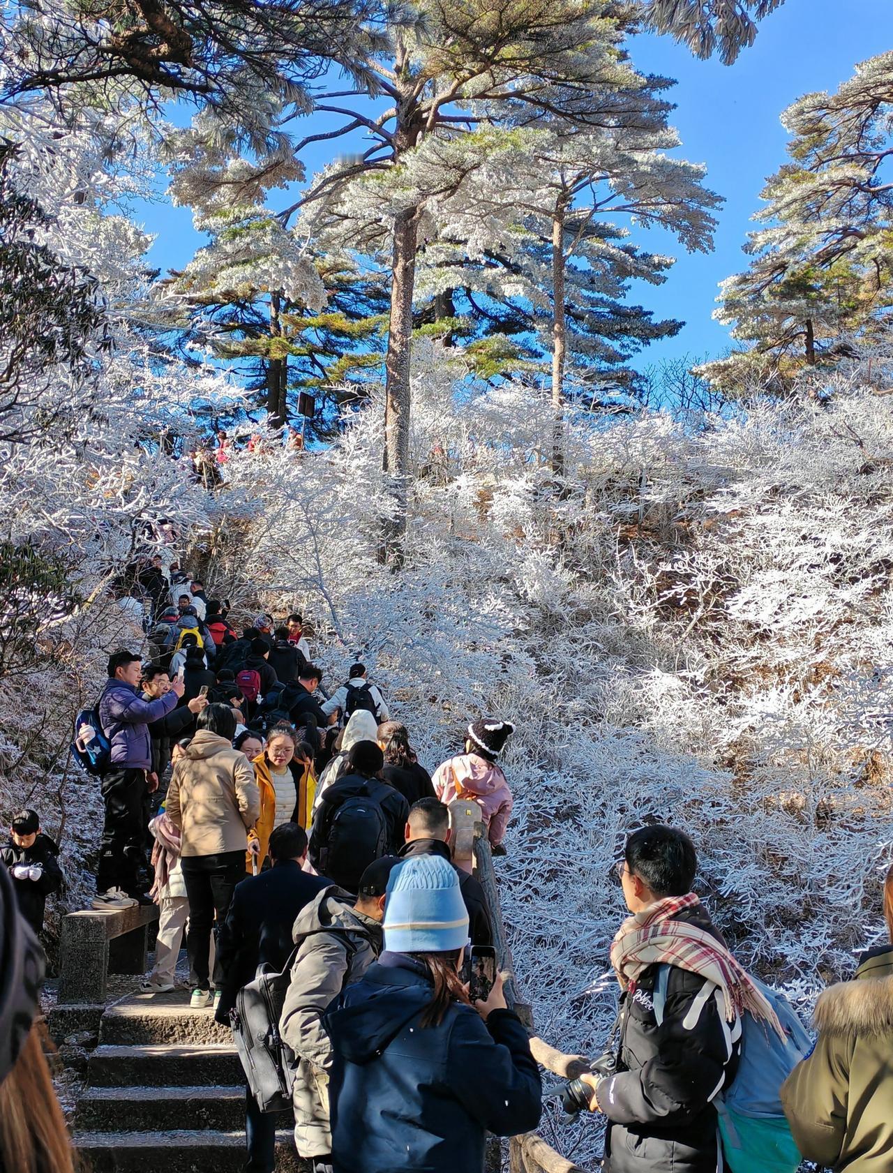 ✨必打卡点：✅迎客松（玉屏楼）✅光明顶（日出云海绝佳位）✅西海大峡谷（悬崖