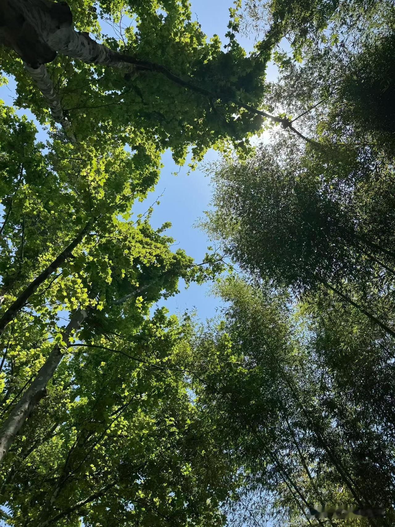 “贵人”不是傻子，想要得到贵人提携，你得给他提供足够的价值。不然人家凭什么，无缘