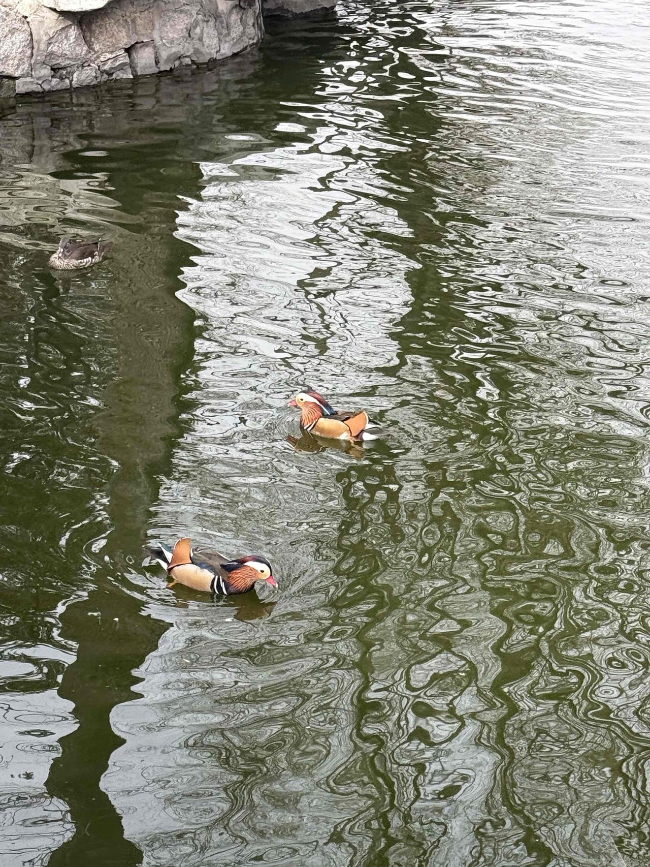 2000块钱买基金，一年能赚多少钱？不仅买基金，而且开超市，每只基金一次