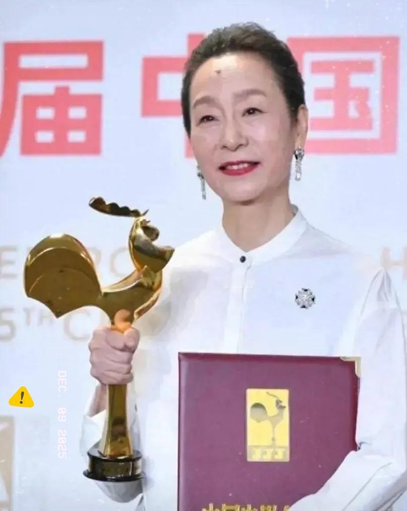 奚美娟终对争议发声，坦言单亲带娃没卖惨且问心无愧，但其孩子身世等疑问仍引发讨论。