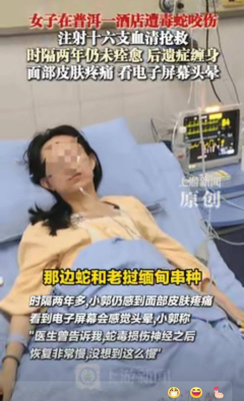千万千万切记，去南方旅游尽量不要住森林树木草坪包围的酒店，你根本不会想到，酒店也