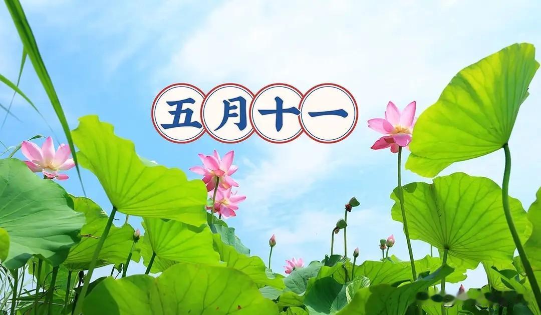 今日五月十一，牢记1不扔，2不碰，吃3样，做1事，平安多福事事顺农历五月十