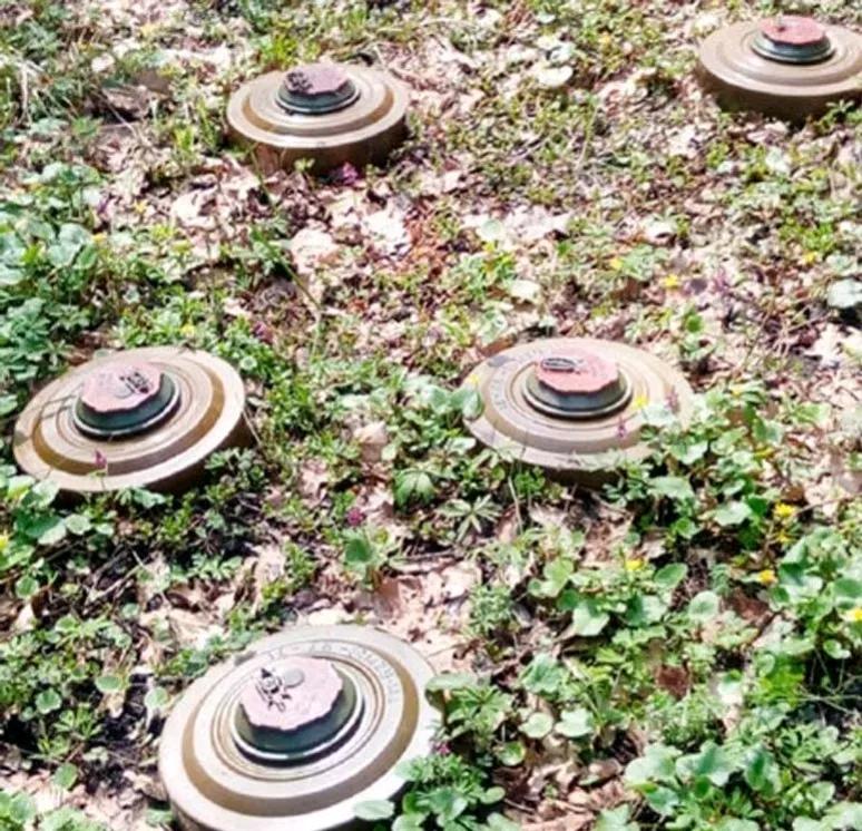 塔斯社报道，当地时间27日，立陶宛国防部宣布，经过6个月的退出等待期，维尔纽斯已