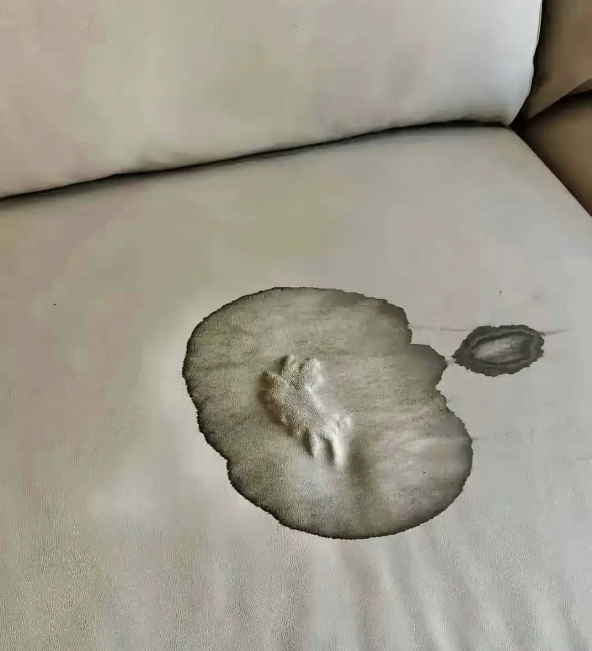 一万块钱的真皮沙发弄脏了，还有救吗？