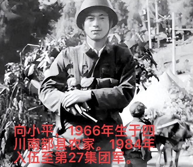 1988年，我军破译越军的电报，主要内容：40余天，31发子弹，导致越军