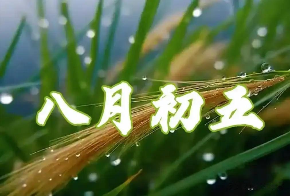 今年秋天还会下雨吗？就看八月初五农历八月初五，正值秋粮灌浆收尾，秋收马上拉