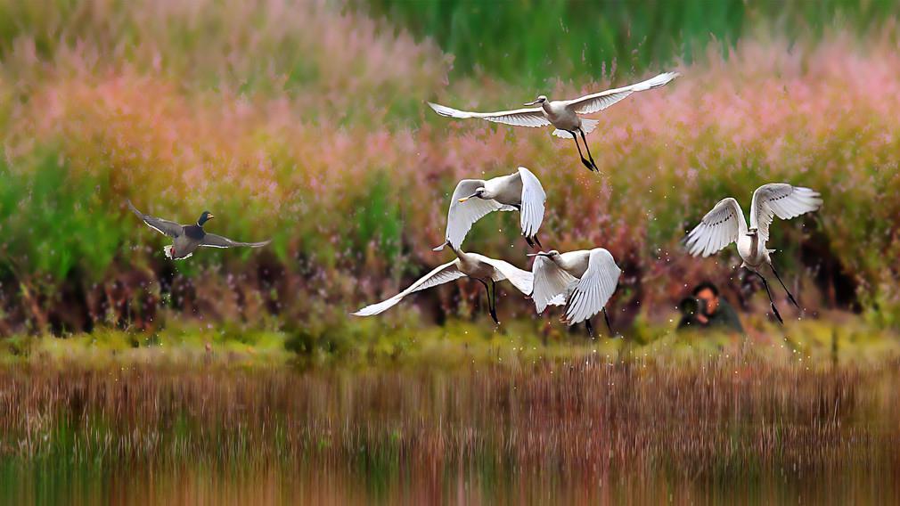 中国的历朝历代之所以更替，其本质的原因就在于既得利益者不愿意放弃自身的利益，不愿