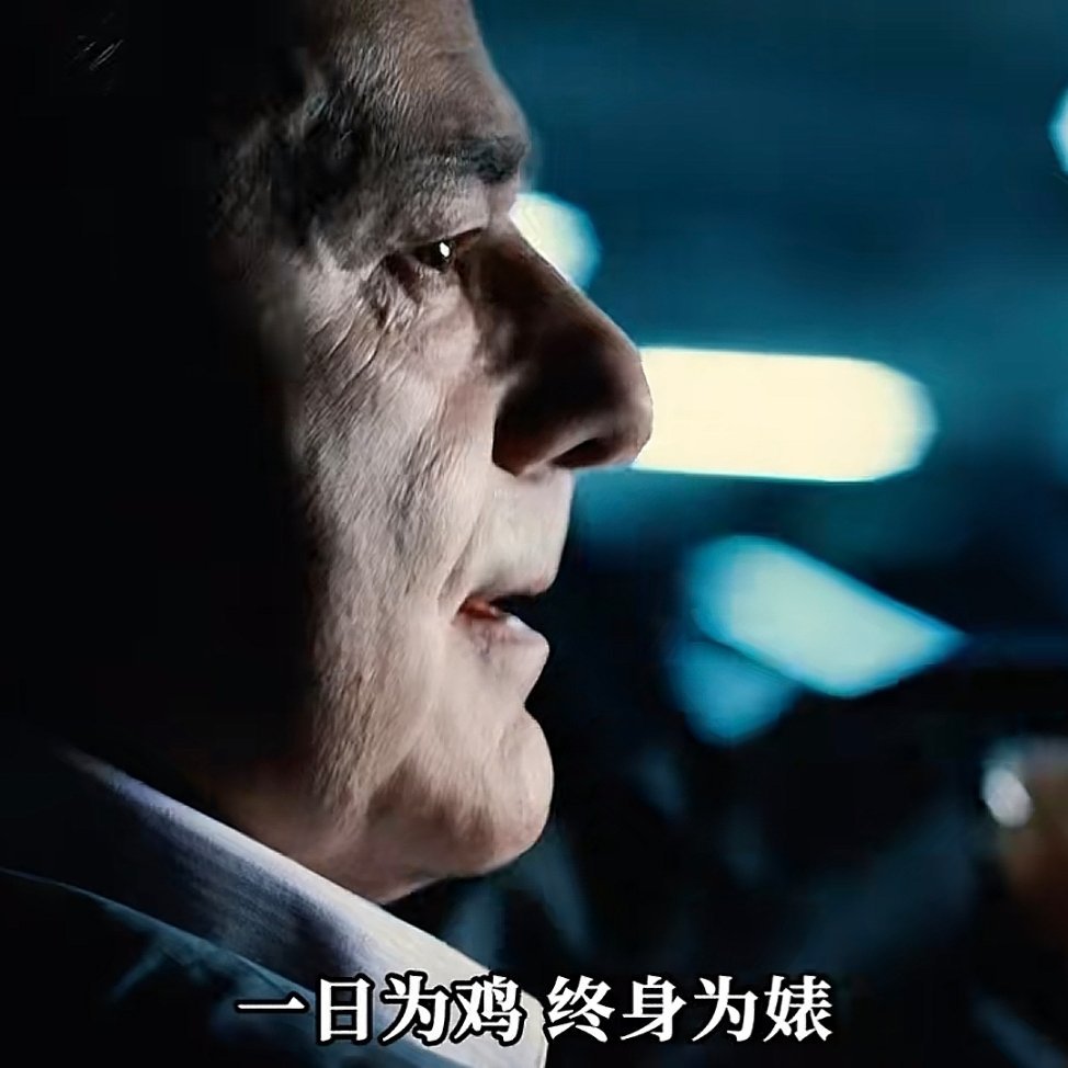 一日为鸡，终身为婊，适用于一些手机汽车界的人。​​​