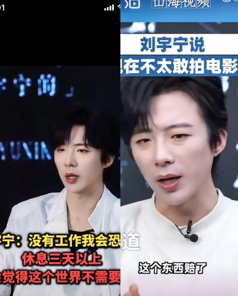 杨天真说的对娱乐圈不养废人好奇查了下刘宇宁，发现这哥们真是有点东西的