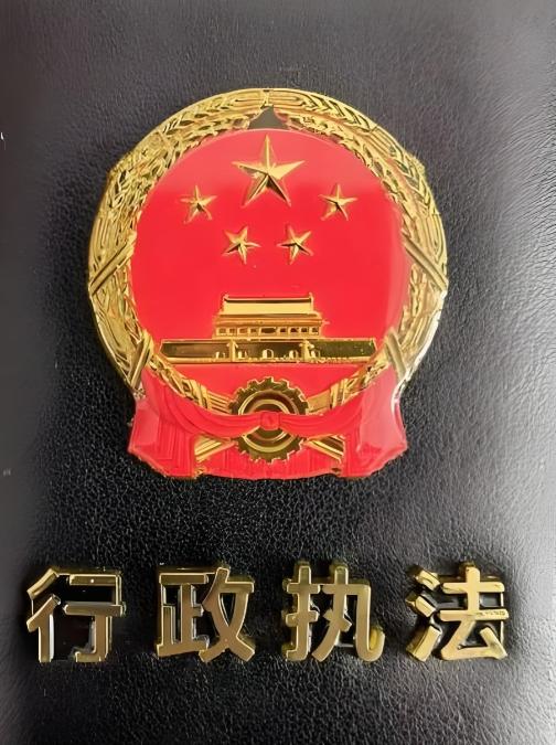 大陆国台办、外交部与国防部共同发声，必须惩戒台独妄动挑衅。没收台当局执法权，摁住
