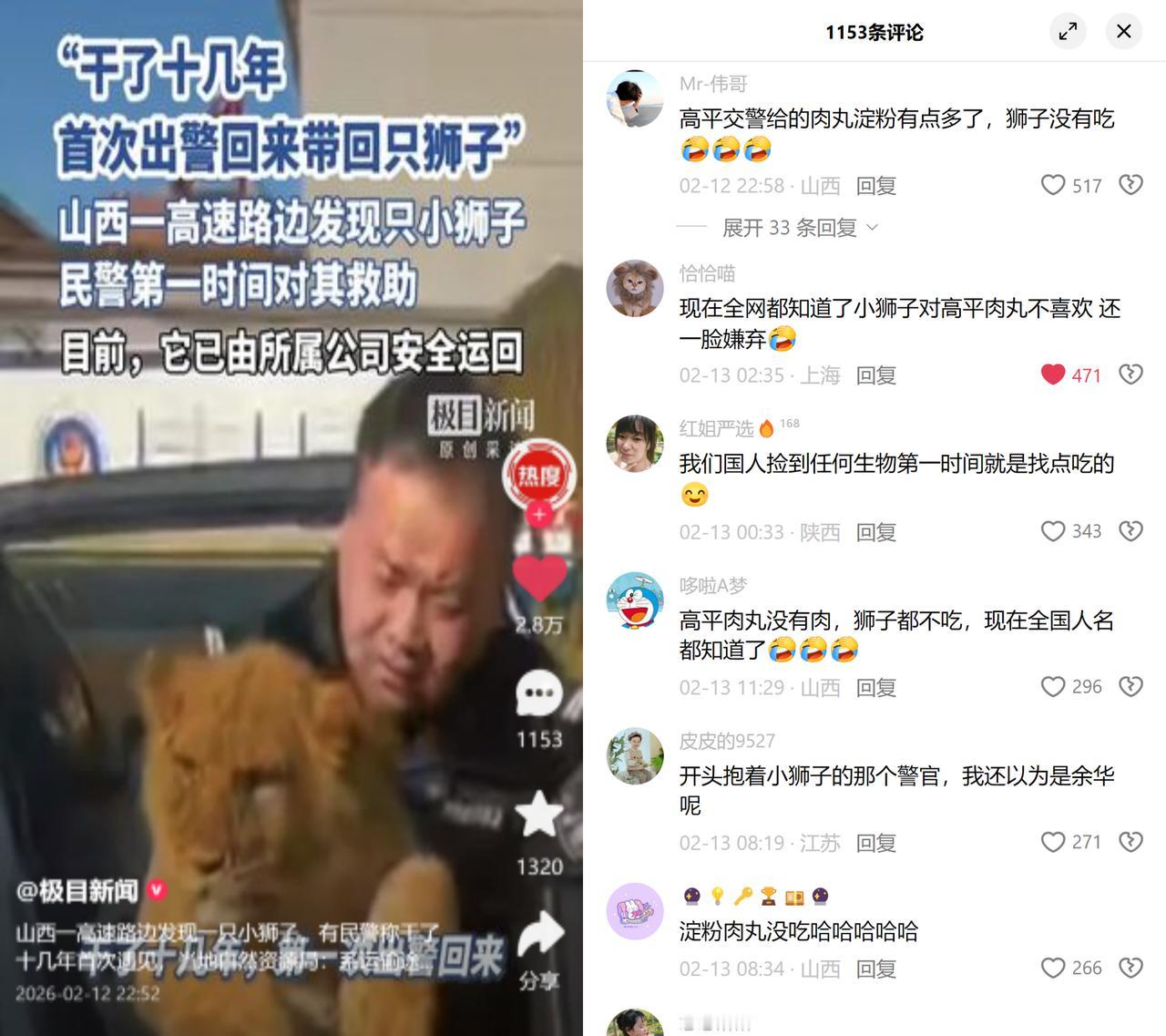 货拉拉运狮子，掉高速上了！2月11日山西高速路边捡着只小狮子，是驯养公司