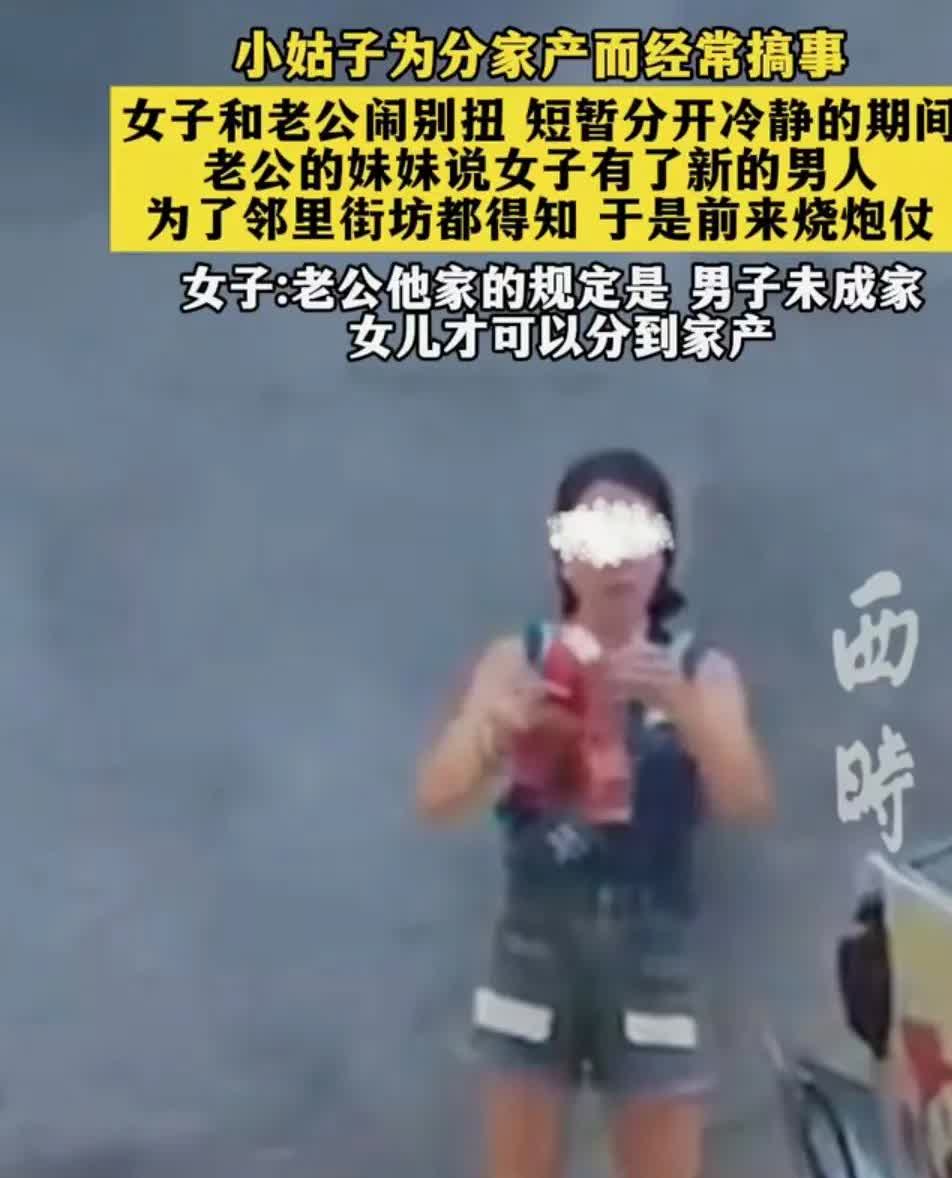 小姑子为了分家产，老是爱搞事情。女子和丈夫闹了别扭，在短暂分开冷静的时候，丈