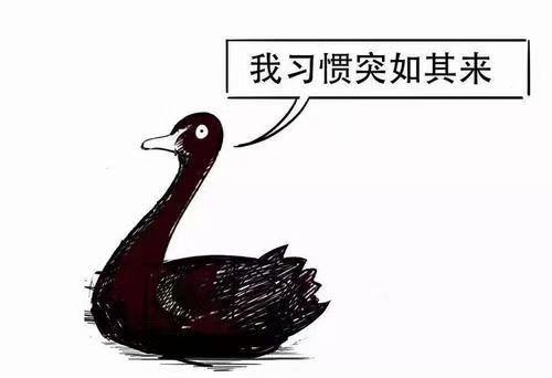 散户在这个市场太难了。商业航天和AI运用是政策支持，也是未来发展需要，既然A股