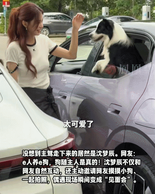 沈梦辰的性格太好了，难怪杜海涛一家对她愈发珍视。沈梦辰开车带着爱犬兜风，恰好