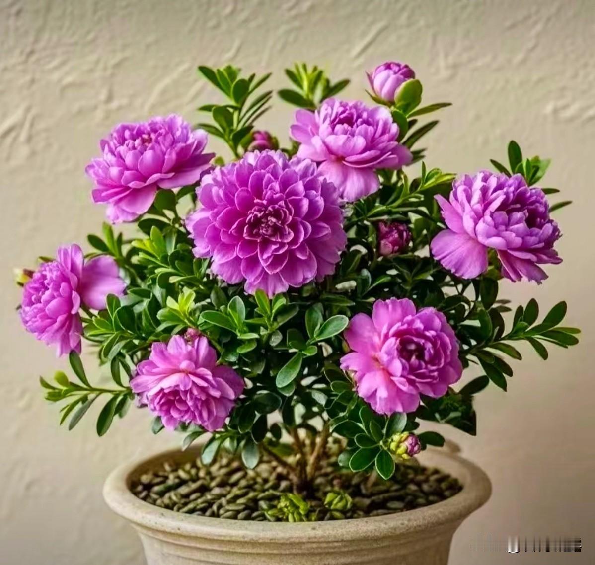 心态胜过年龄，微笑胜过颜值，健康胜过金钱，三观胜过城府，无论经历过什么，