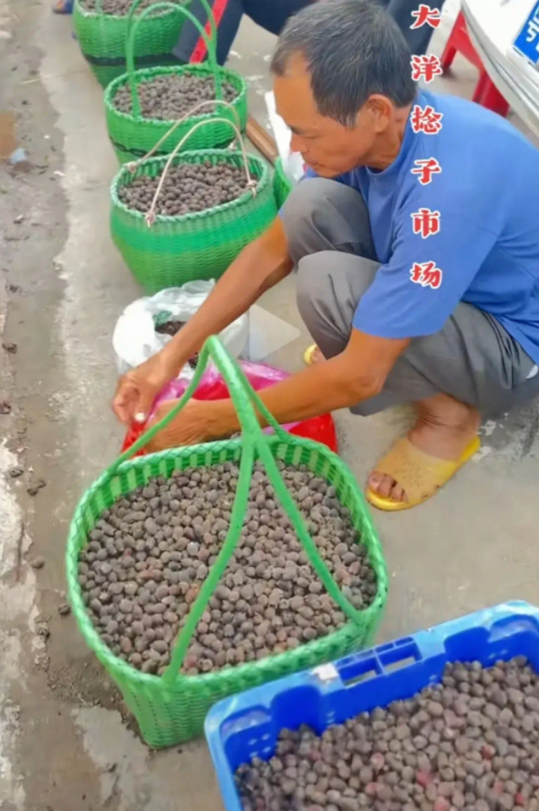 广西人回避，问一下其他省份的朋友，你们吃过这种果子吗？这是广西的特产，长在山山，