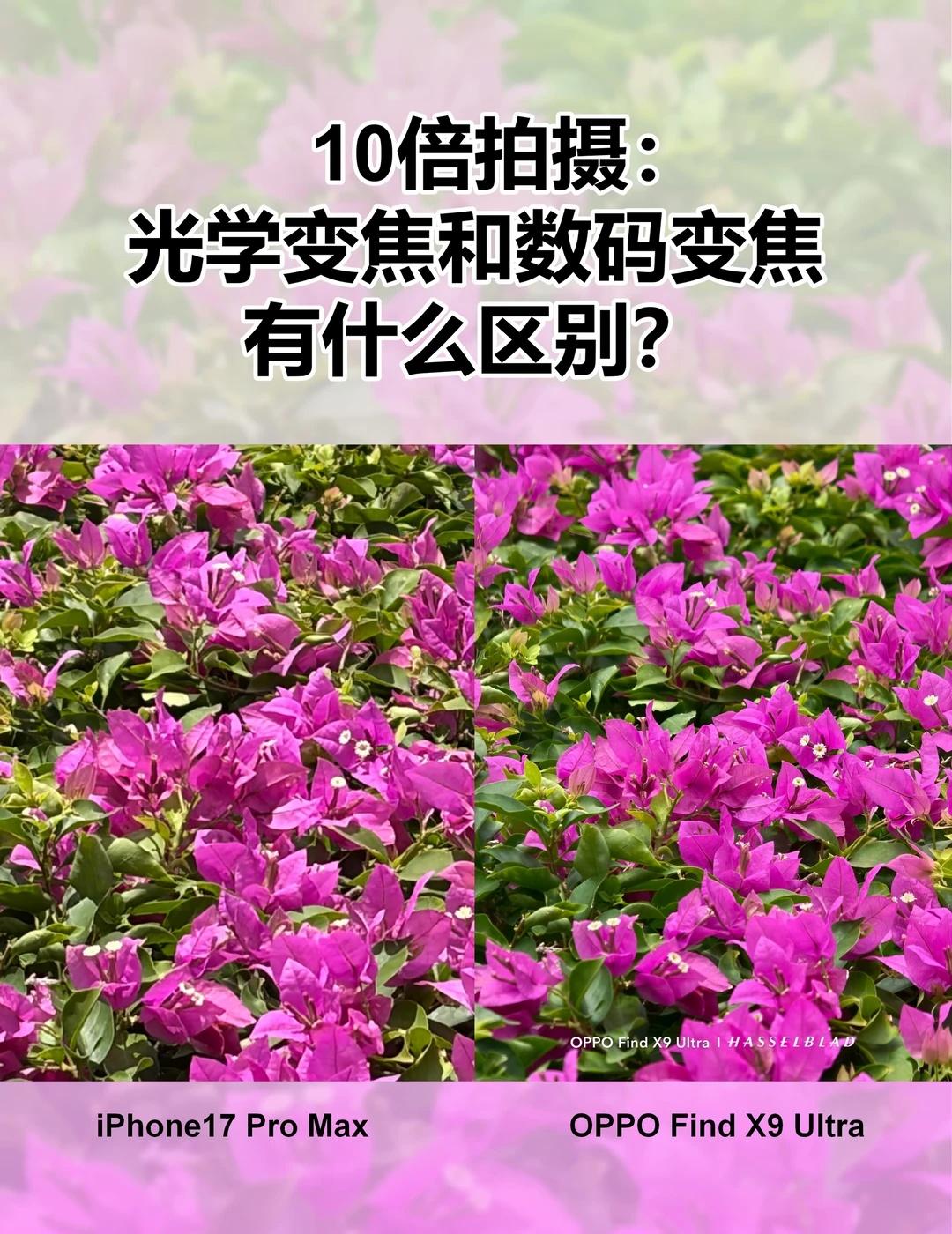 数码变焦和光学变焦区别在哪？图放这了看到一组10倍变焦的样片挺有意思，iPho