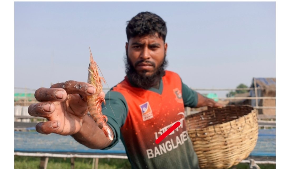 这个题目误导了评论区一堆人。实际上印度的虾、鱼一直在对华出口啊！估计很多人早就吃