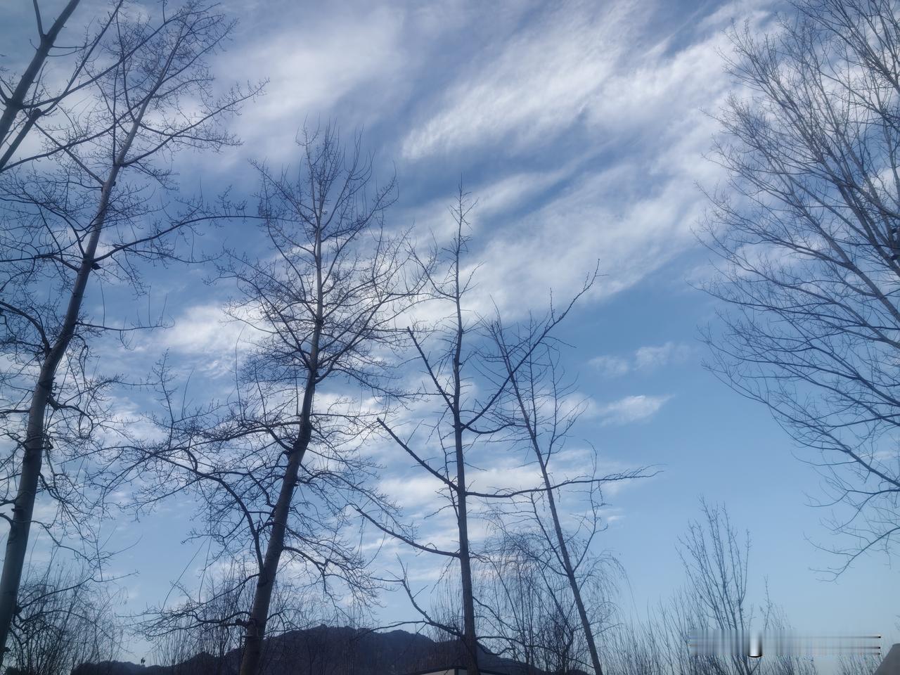 人生三层境界：弱者着相，强者破相，智者无相1. 弱者着相《道德经》有言：