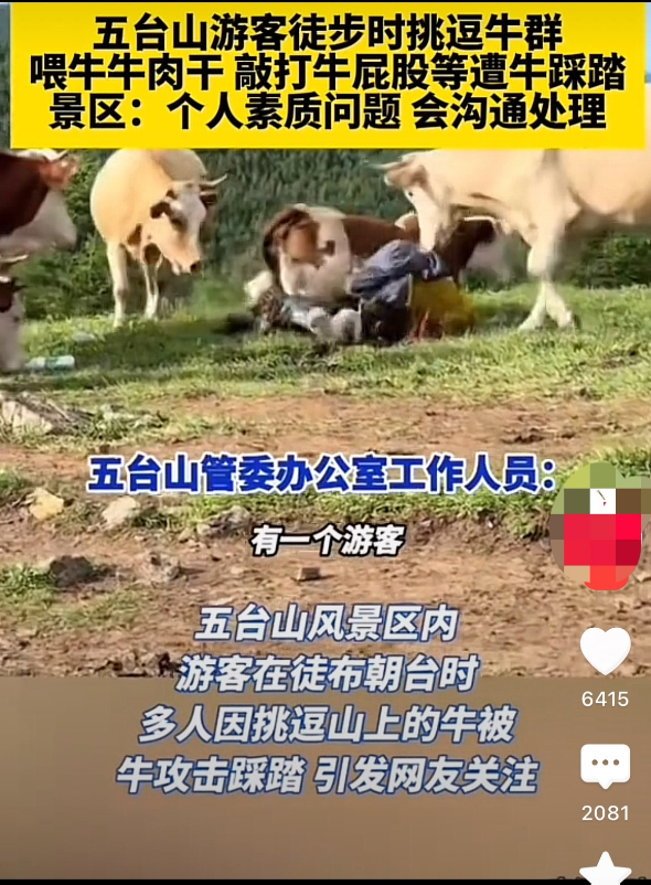 牛肉干喂牛挑逗，大哥是闲的没事干了吧！嫌活得不够长吗？牛只想安静得吃草，这下牛蹄