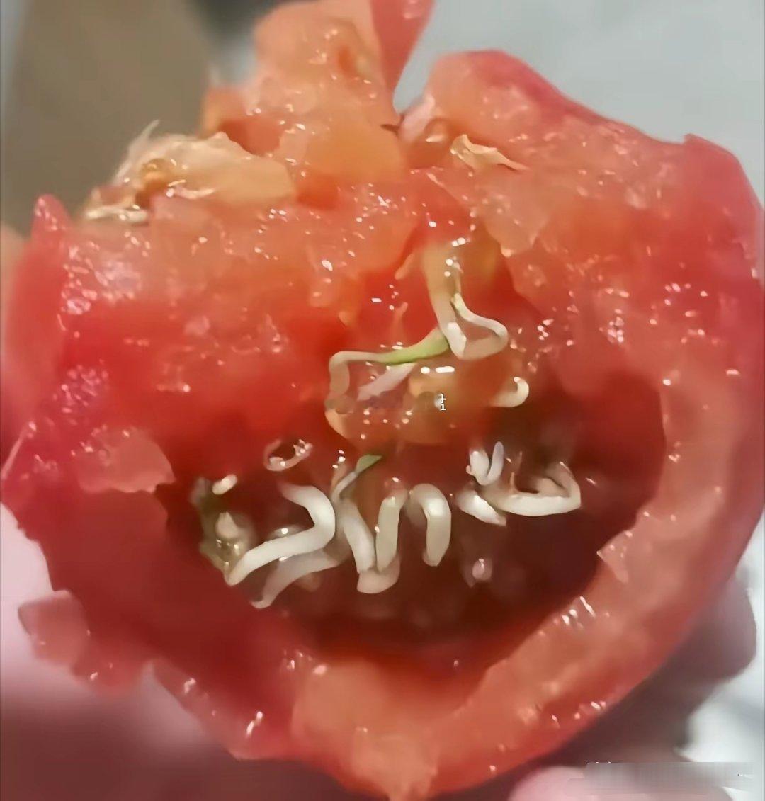 胖东来的售后无处不在！有人在网上晒出自己购买的番茄里面发芽了，胖东来的售后马上给